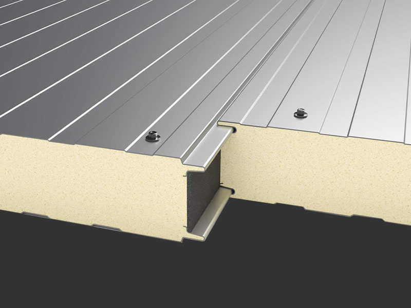 Cold Room Sliding Door