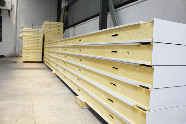 Cold Room Sliding Door