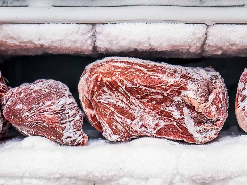 Cold Room Sliding Door