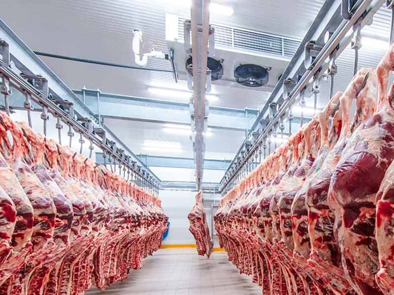 Cold Room Sliding Door