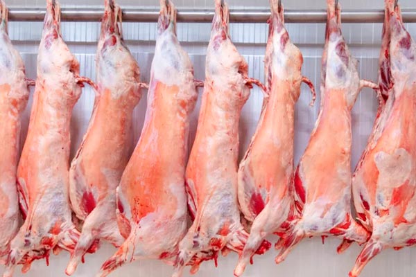 Cold Room Sliding Door