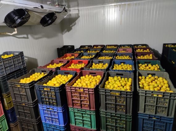 Cold Room Sliding Door