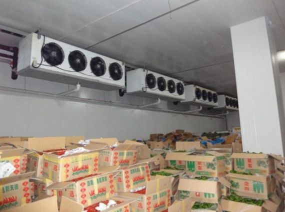 Cold Room Sliding Door