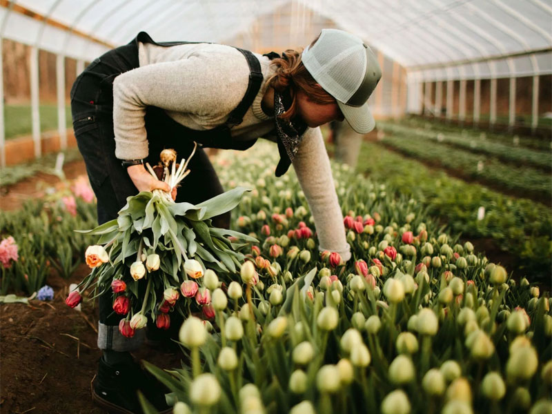 Cold Room Sliding Door