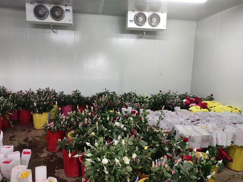 Cold Room Sliding Door