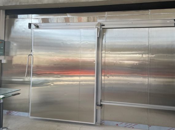 Cold Room Sliding Door