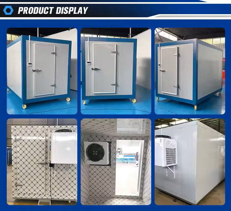 mobile cold storage with digital control