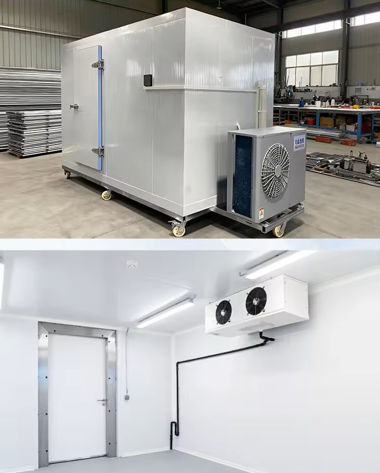 portable cold storage with casters
