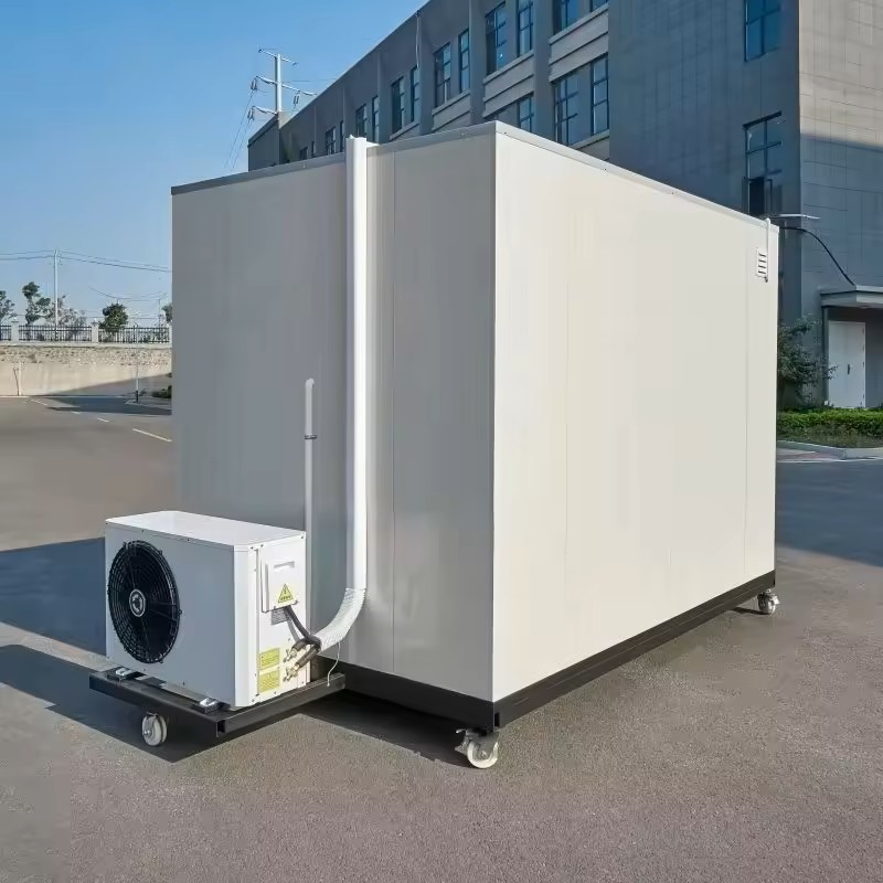 portable cold storage with casters