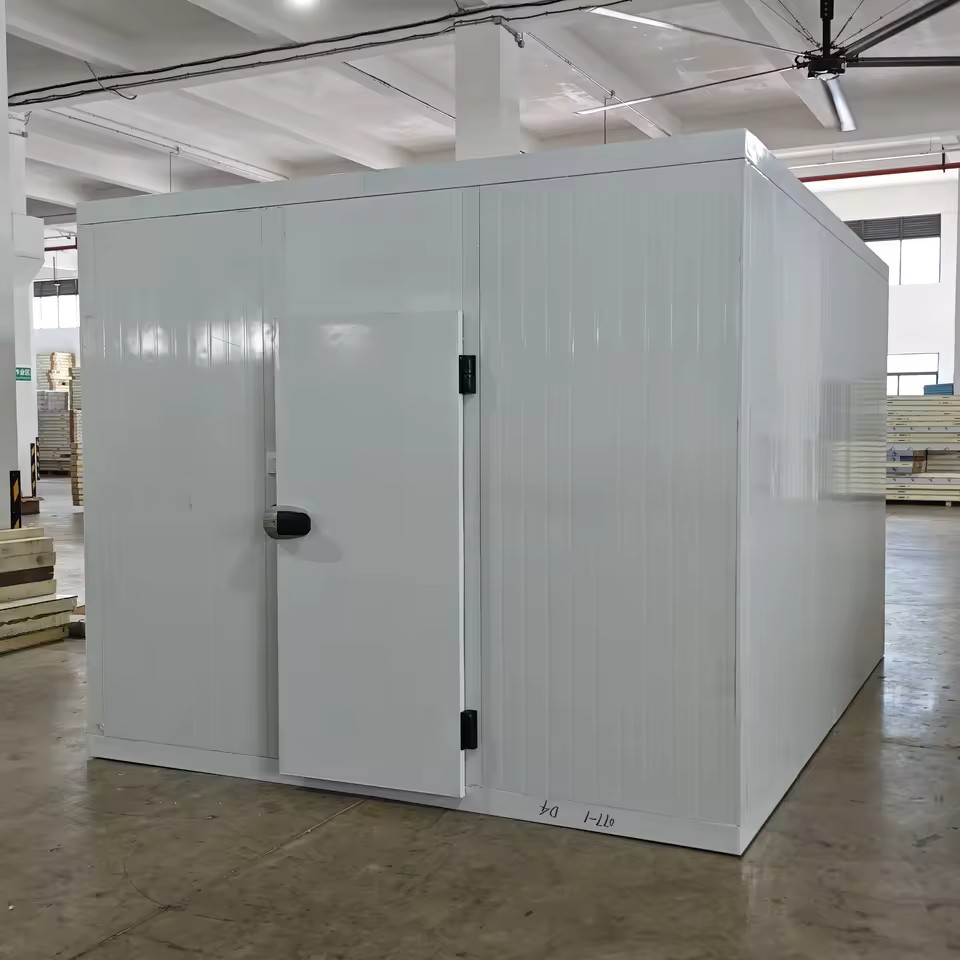 meat cold chain logistics