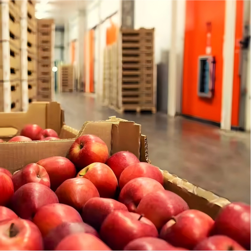 fresh food cold room