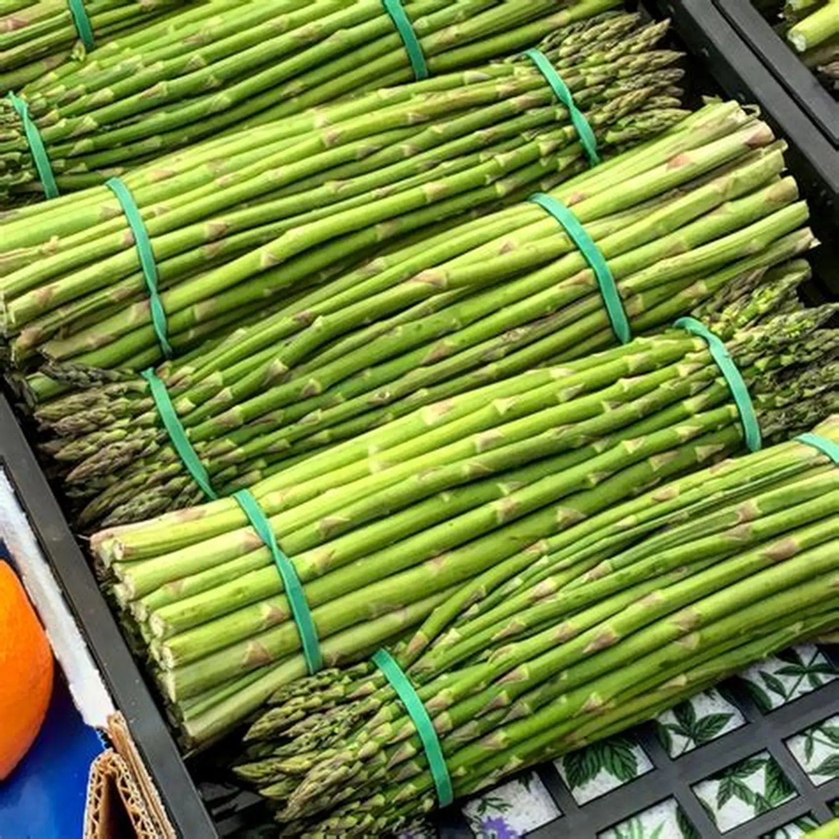 cold room construction