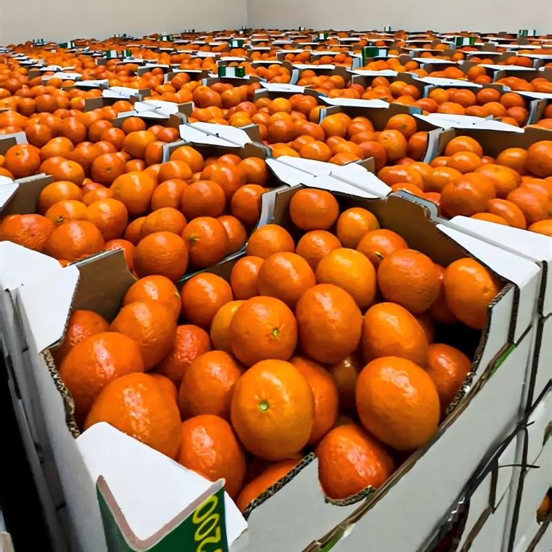 corrosion resistant cold room