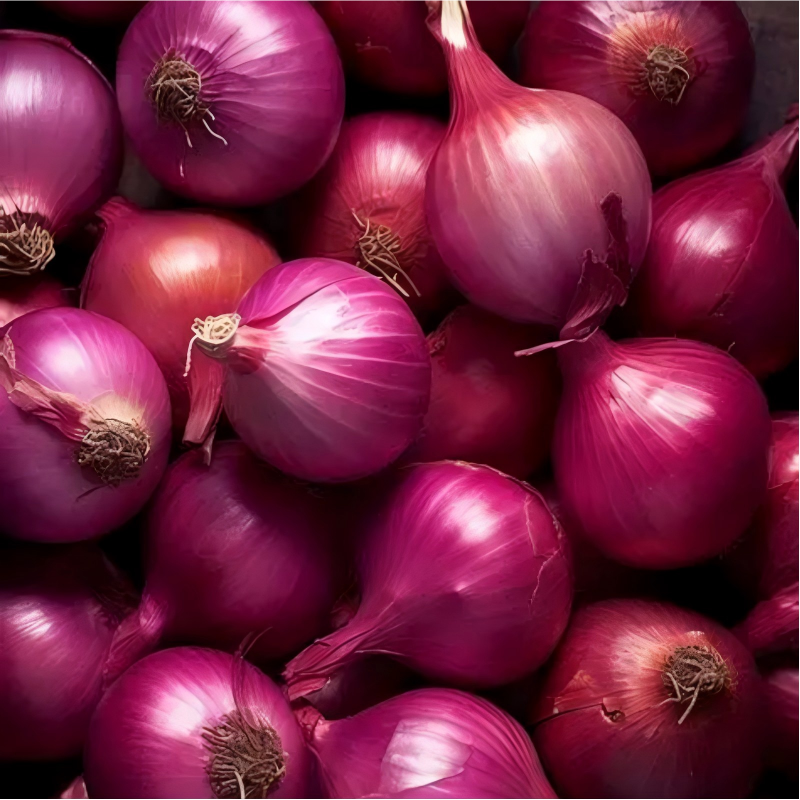 corrosion resistant cold room