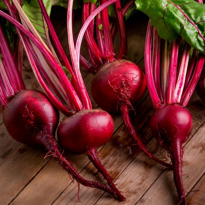 waterproof cold room