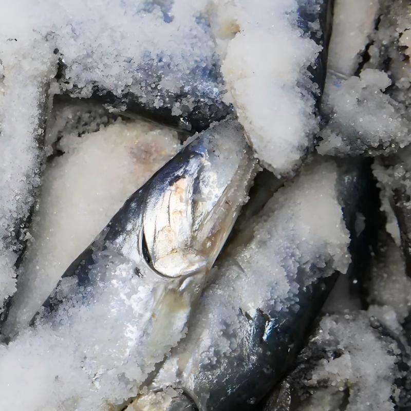 red meat cold storage