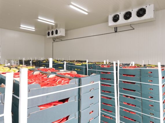 Fruit and Vegetable Cold Storage