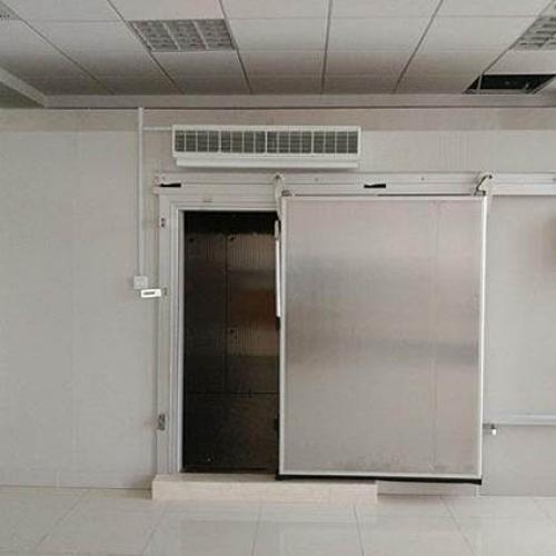 How To Choose Sliding Or Swing Cold Storage Doors