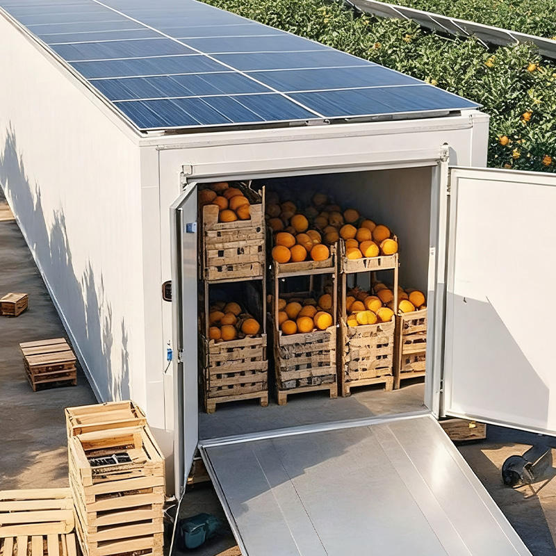Solar Container Installation & Maintenance Guide