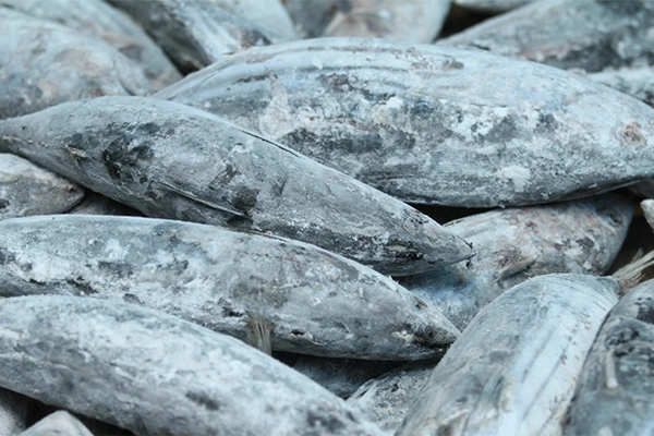 What Is Blast Freezing?