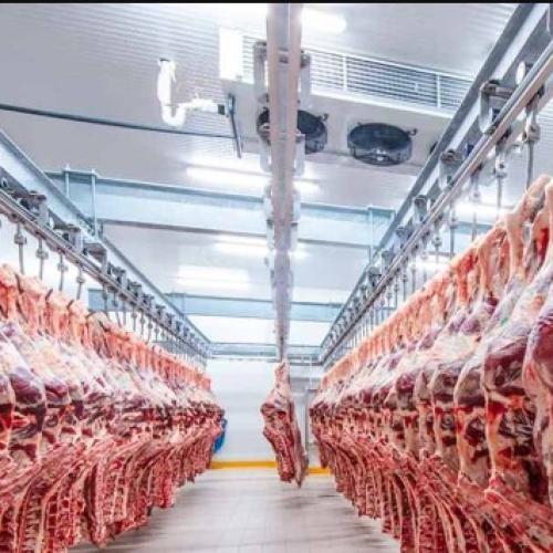 Meat Cold Storage Planning & Design Solutions That Actually Work