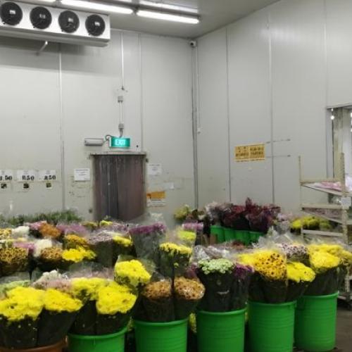 Flower Cold Room