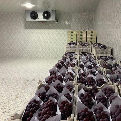 Cámara frigorífica para uvas