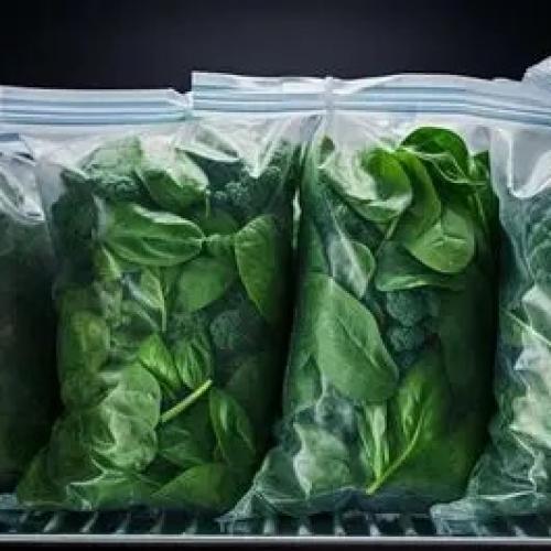 Cámara frigorífica para espinacas