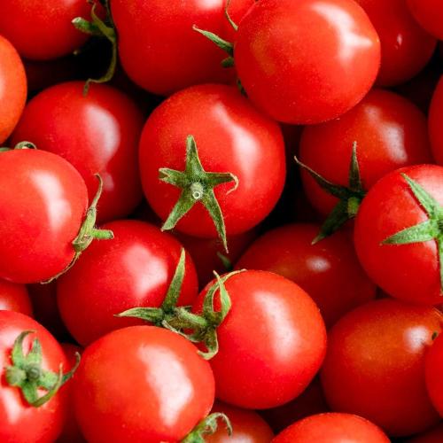 Cherry Tomato Cold Room