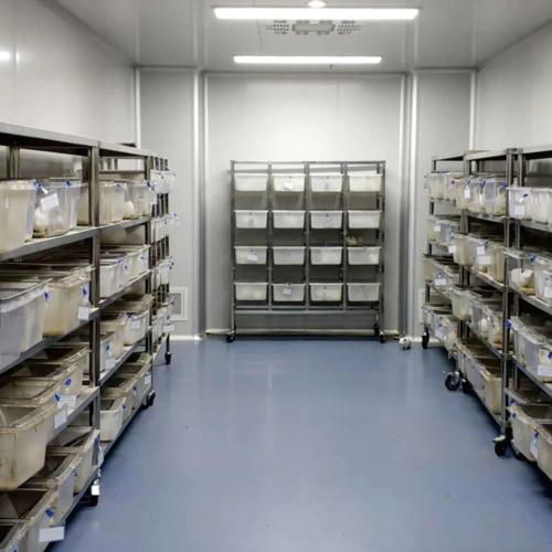 Pharmaceutical Cold Storage