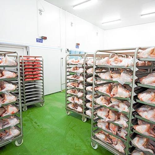 Chicken Cold Storage