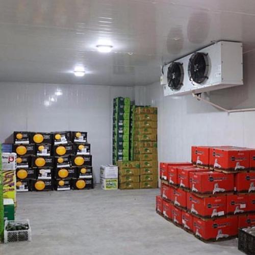 Mandarin Orange Cold Storage