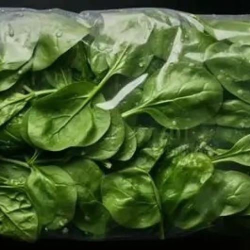 Spinach Cold Storage