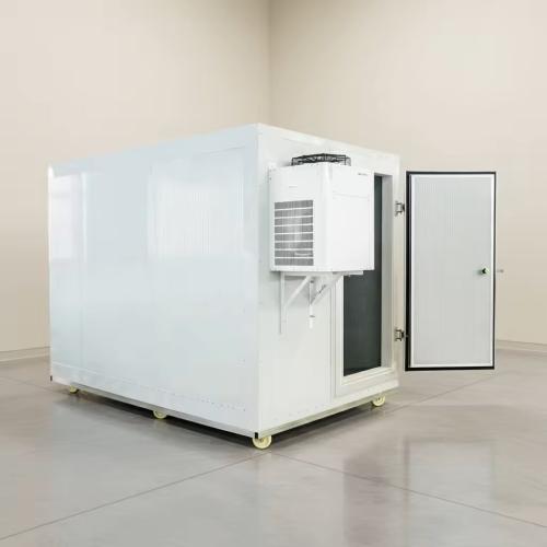 Walk In Freezer Mobile Cold Room