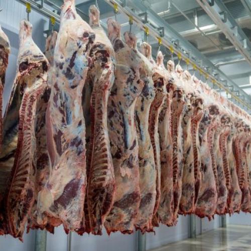 Walk-in Cold Room for Meat Storage