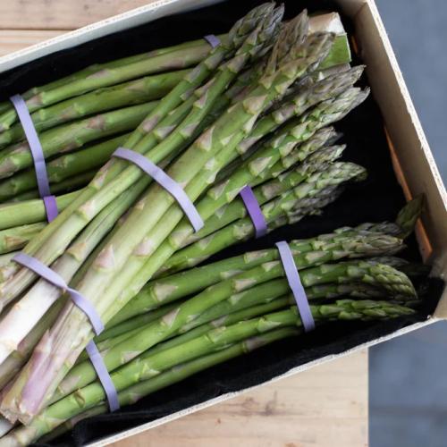 Asparagus Cold Storage