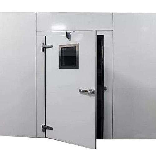 Cold Room Swing Door