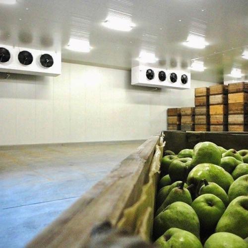 Fruit Cold Storage
