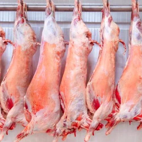 Lamb Cold Storage